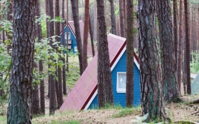 wal_172619-forest-6626254_1920